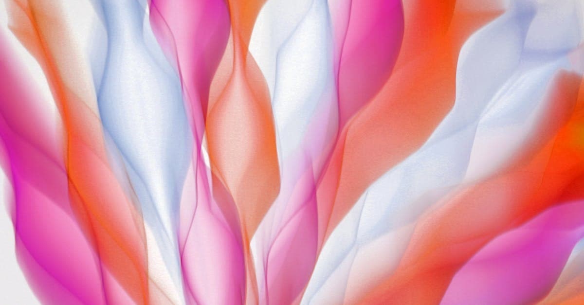 ทำนายฝัน เลขเด็ด ฝันเห็นอะไรได้เลขอะไร | The Power Of One March แทงหวย